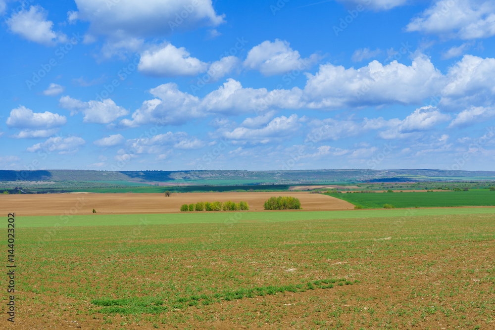 Bright sunny spring day with large clouds over Cultivated field Bright sunny spring day with large clouds over Cultivated field