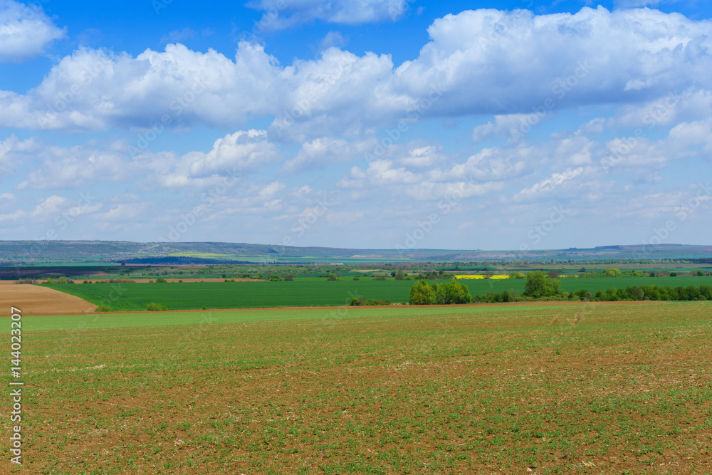 Bright sunny spring day with large clouds over Cultivated field Bright sunny spring day with large clouds over Cultivated field