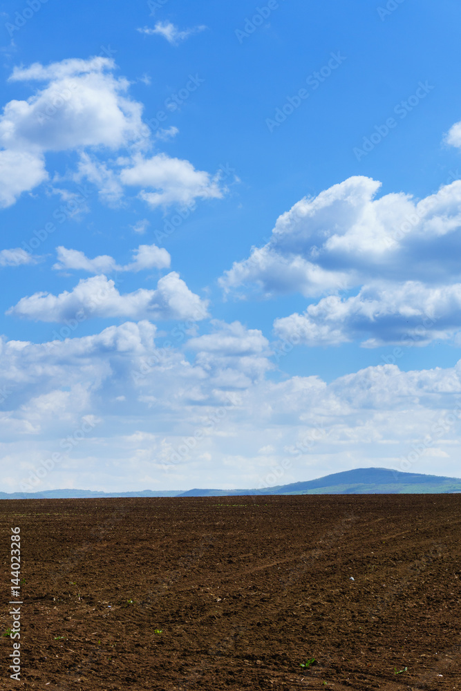 Bright sunny spring day with large clouds over Cultivated field