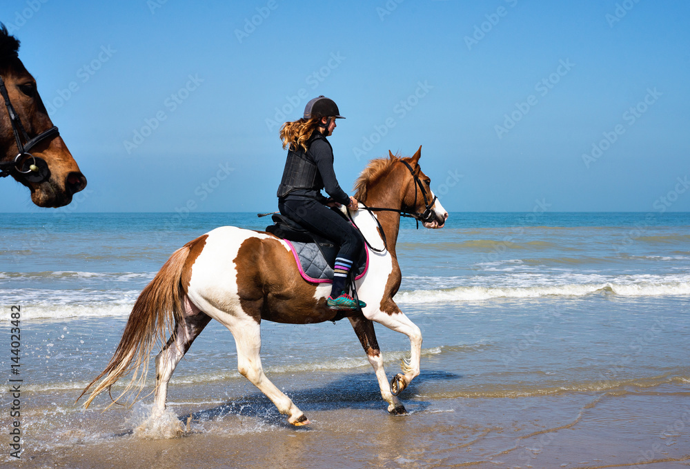 cavalière au galop sur la plage cavalière au galop sur la plage
