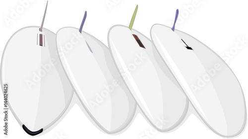 Four bright windsurfing decks with keels and rig mount laying on ground top view graffiti style isolated on white vector illustration