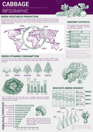 Vector infographic cabbage vegetable products