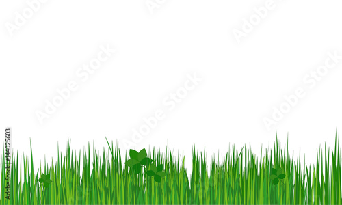 Grass. Summer (spring) background. Vector