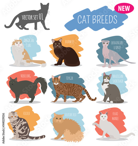 Schilderij op canvas Cat breeds icon set flat style isolated on white