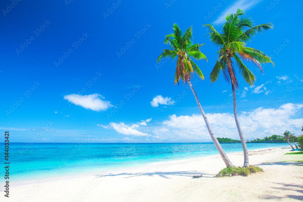 tropical beach with coconut palm