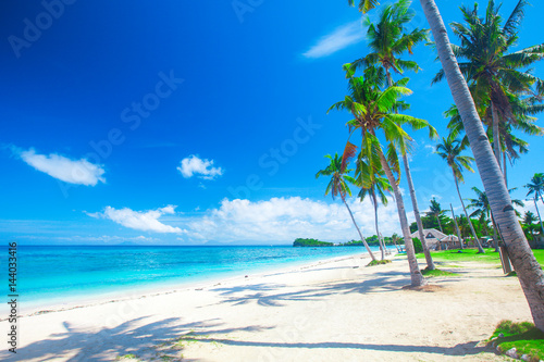 panoramic tropical beach with coconut palm