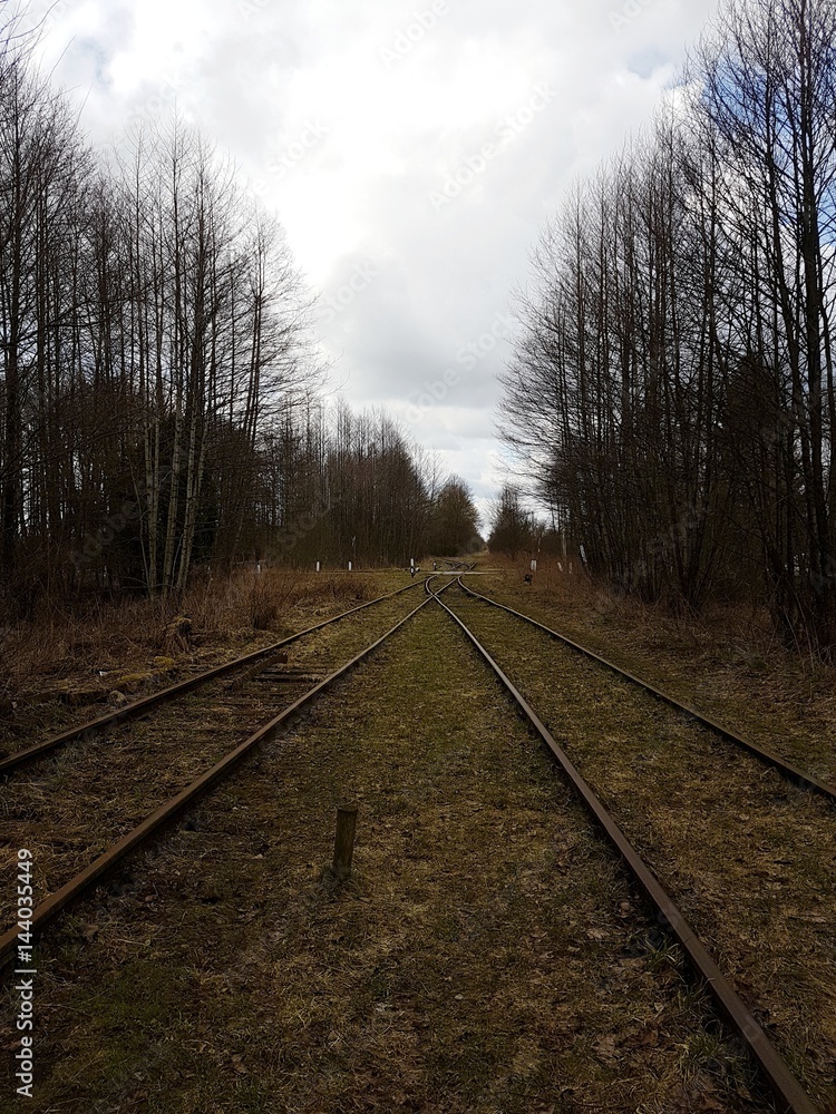 Fototapeta premium Tory kolejowe