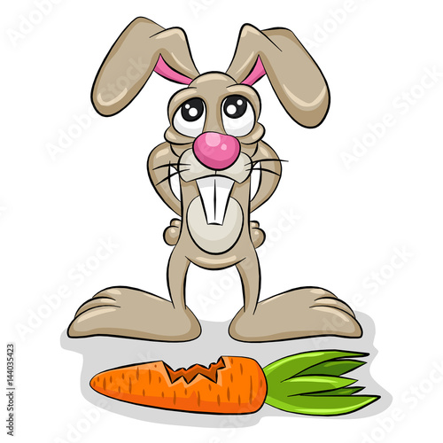 Rabbit