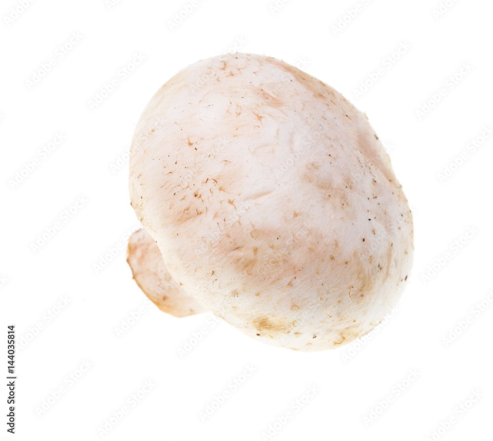 Fototapeta premium White mushrooms champignons