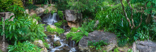 The panoramic view of small waterfall which runs and hitting rocks with lots of tripical plants and ferns in Brisbane Botanical Garden  Mt Coot-tha, Australia