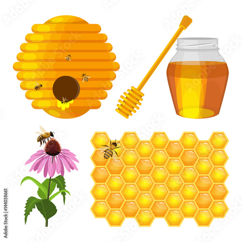 Set of beekeeping elements vector beehive, honeycomb, flower, fresh honey
