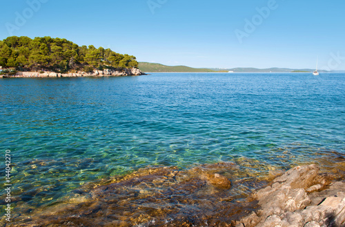 Transparent deep blue sea water and rocky coast with green forest, pine trees and hills on the back. Bozava, Croatia, summer