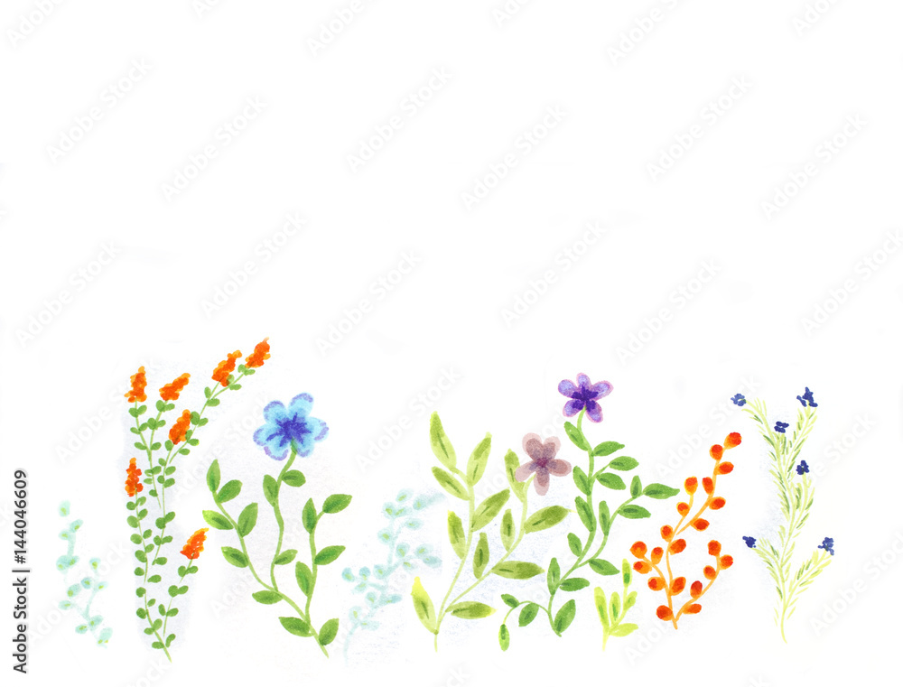 Aquarelle flowers background