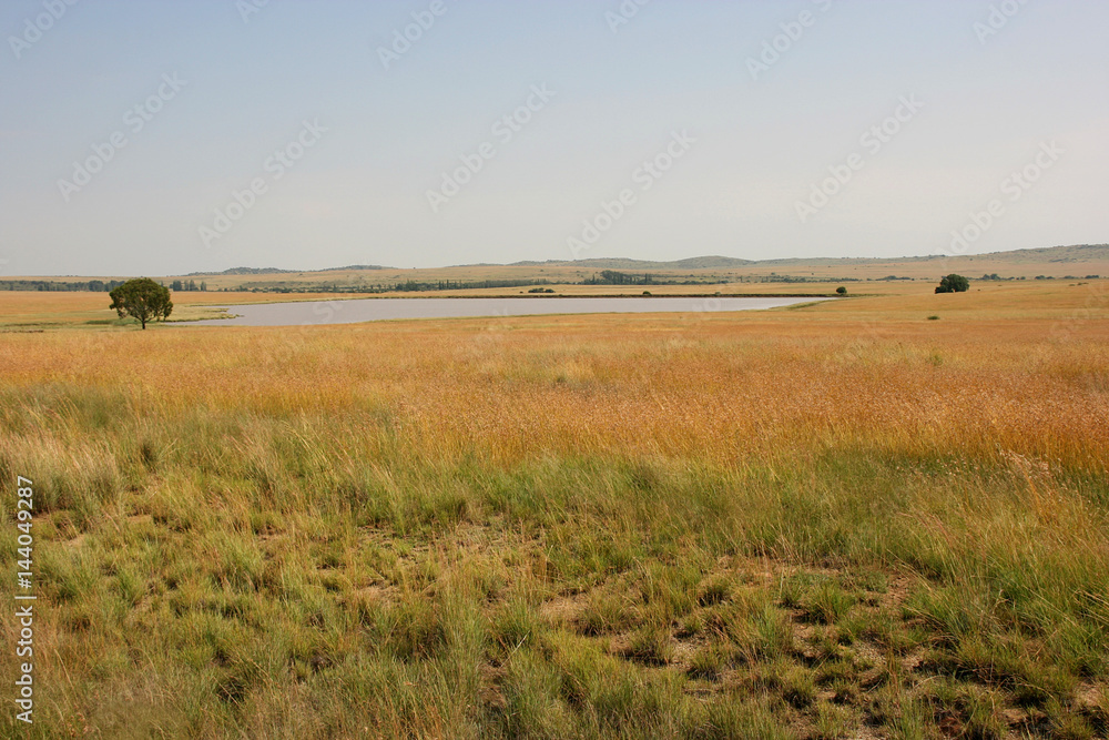 Steppe between Bloemfontein and Ladybrand, Free State, South Africa