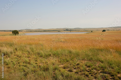 Steppe between Bloemfontein and Ladybrand, Free State, South Africa