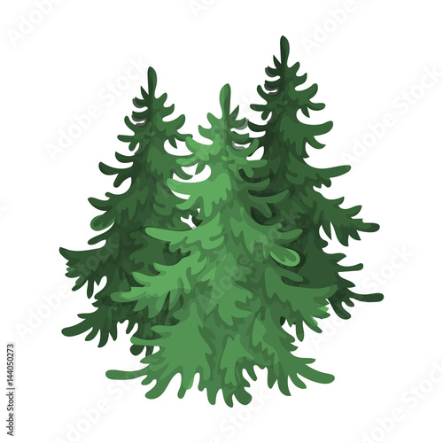 Canadian spruce. Canada single icon in cartoon style vector symbol stock illustration web.
