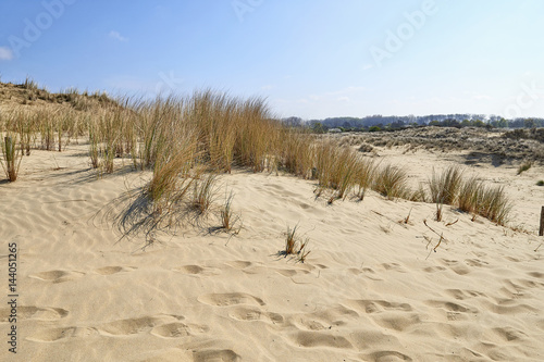 Footprints on the sand dunes