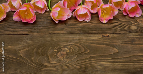 Spring tulip flowers over wooden background. Pink tulips.