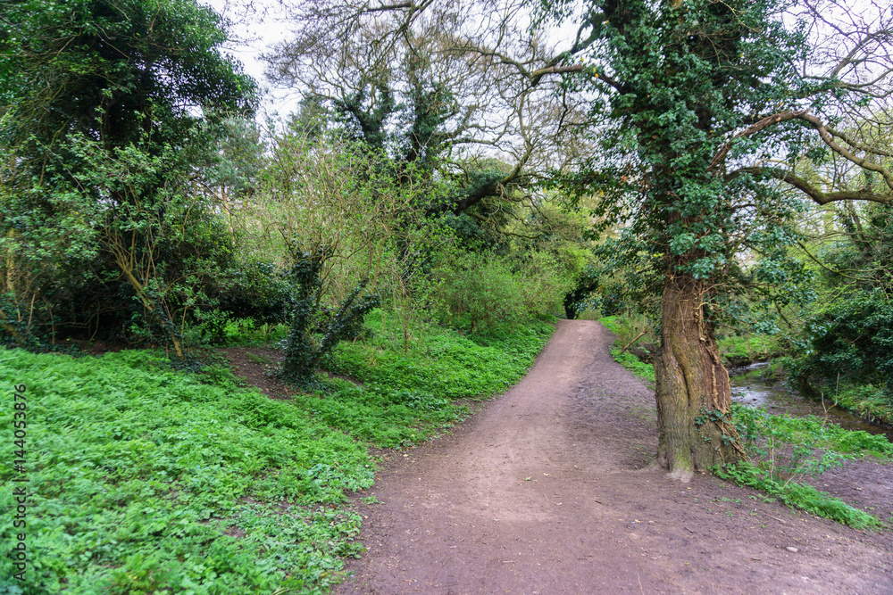 Springtime in a park pathways and blossom lush foliage