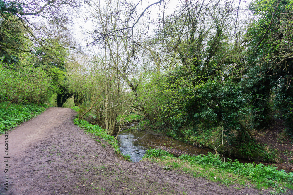 Springtime in a park pathways and blossom lush foliage Springtime in a park pathways and blossom lush foliage
