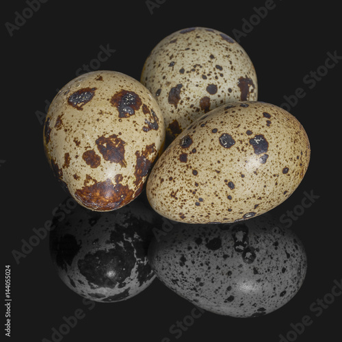 three quail eggs photo