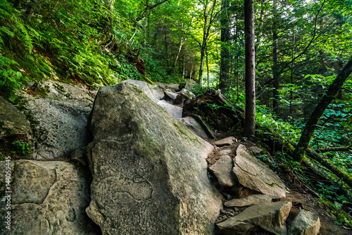 Fotografering The Appalachian Trail