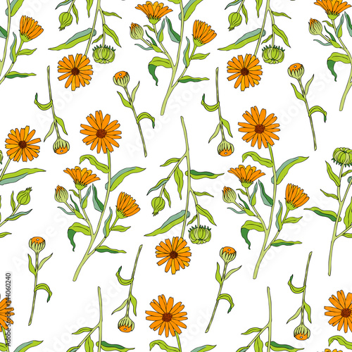 Seamless floral pattern, Calendula flower isolated on white background, botanical hand drawn doodle vector illustration marigold for design package tea, cosmetic, greeting cards, wedding invitation