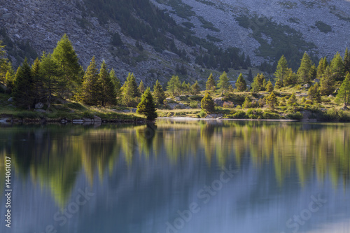 Aviolo lake, Adamello natural park, Camonica valley, Lombardy, Italy. Larches at mirror. photo