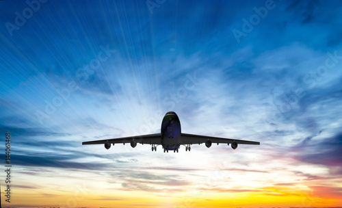 The plane flies in the sky against the background of clouds