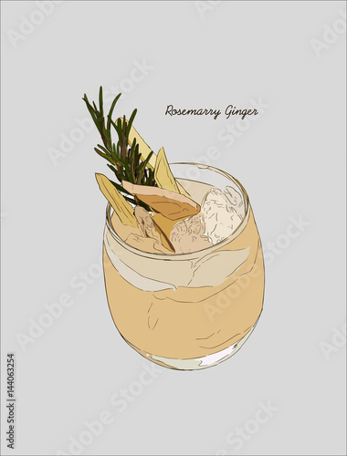 Ginger rosemarry martini cocktail, Hand drawn sketch line art vector.
