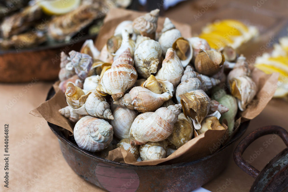 Plenty of seafood, veined rapa whelk on grill pan Plenty of seafood, veined rapa whelk on grill pan