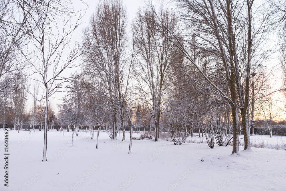 Parque Urbano Cubierto de Nieve al Atardecer Parque Urbano Cubierto de Nieve al Atardecer