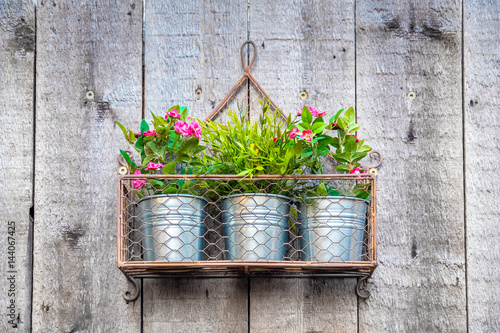 Flowers hanging in metallic pots photo