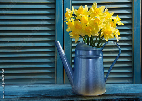 Fototapeta Naklejka Na Ścianę i Meble -   Watering can with daffodils