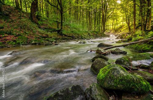 Obraz na plátně Rapid stream in green forest