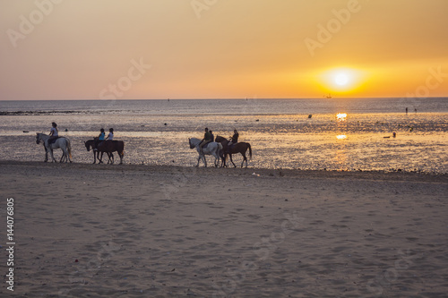 People riding horses walking on the beach at sunset in Sanlucar de Barrameda (Cadiz) - Spain