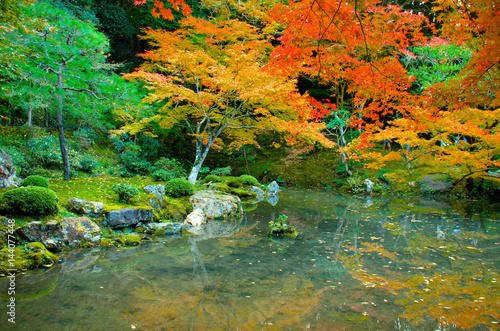 Fototapeta Naklejka Na Ścianę i Meble -  Autumn pond