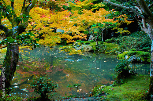 Fototapeta Naklejka Na Ścianę i Meble -  Autumn pond