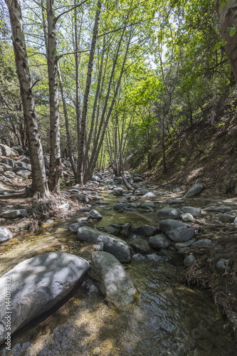 Arroyo Seco creek above Swi...