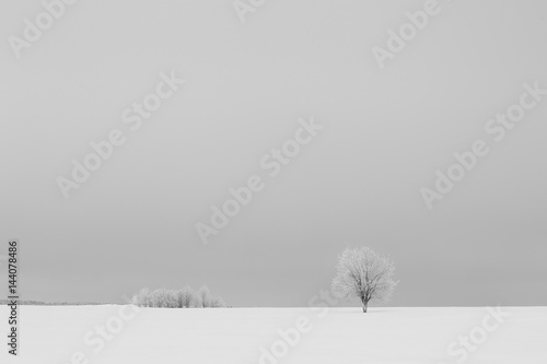 Minimalistic sad winter landscape