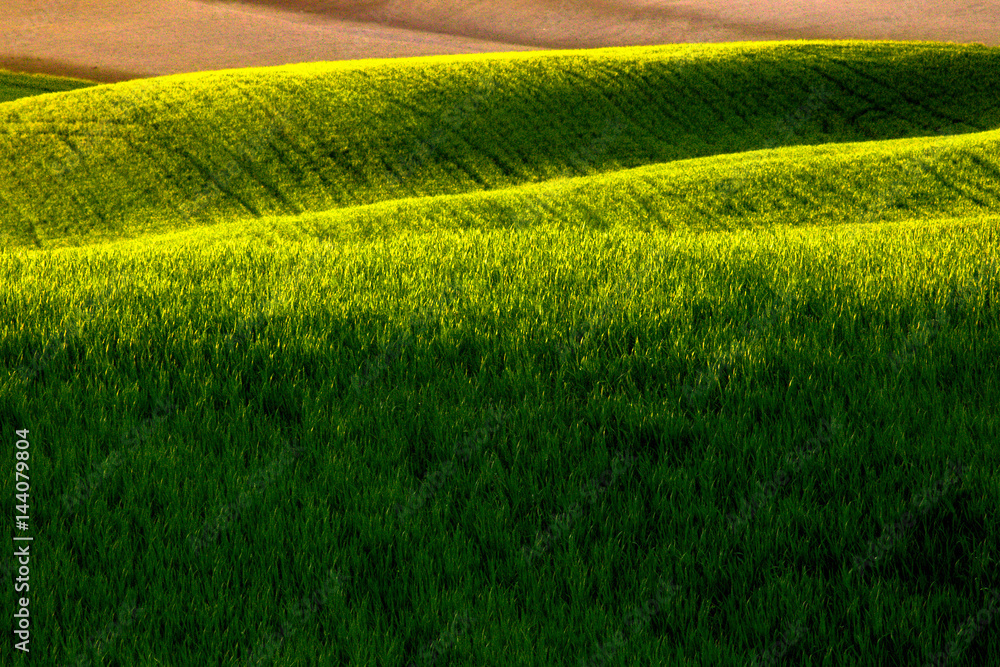 colline ondulate val d'orcia al tramonto colline ondulate val d'orcia al tramonto