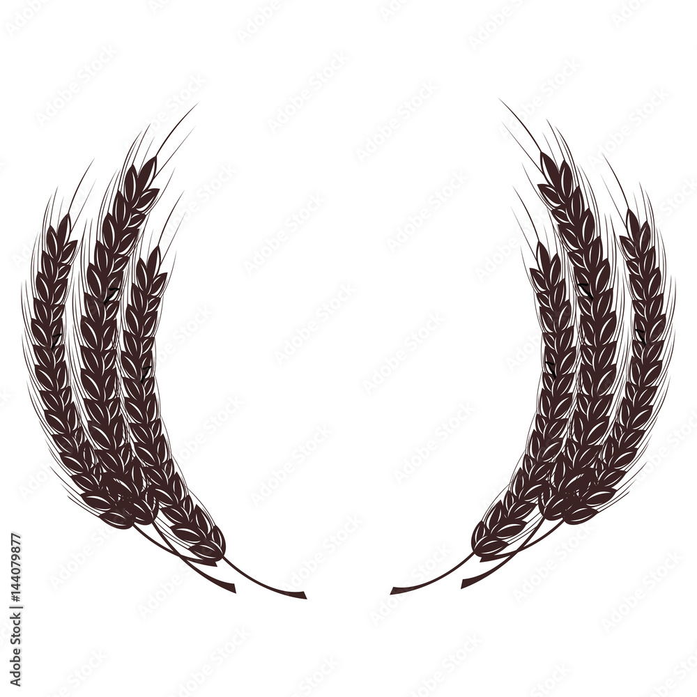 Wheat spike in the form of a coat of arms. Isolated on white background.  Stock Vector | Adobe Stock