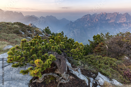 Europe, Italy, Veneto, Belluno. A sight towards Monti del Sole on the right and Schiara on the left from mont Celo. Agordino, Dolomiti Bellunesi National Park. photo