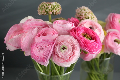 Multicolor pink buttercup  Ranunculus in the glass vase on the gray background