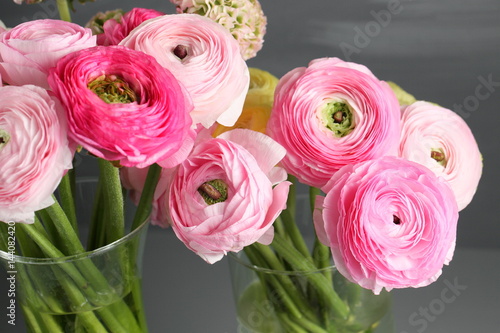 Multicolor pink buttercup  Ranunculus in the glass vase on the gray background