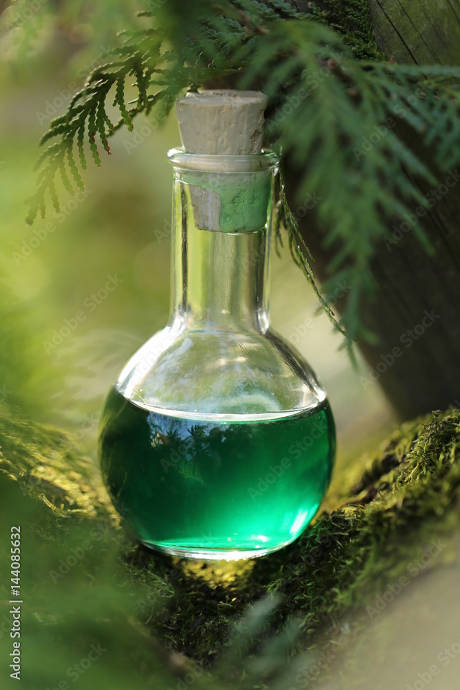 herbal potion On a mossy tree. Herbal elixir. Magic Potion. Homeopathic medicine. Organic Cosmetics Concept herbal potion On a mossy tree. Herbal elixir. Magic Potion. Homeopathic medicine. Organic Cosmetics Concept