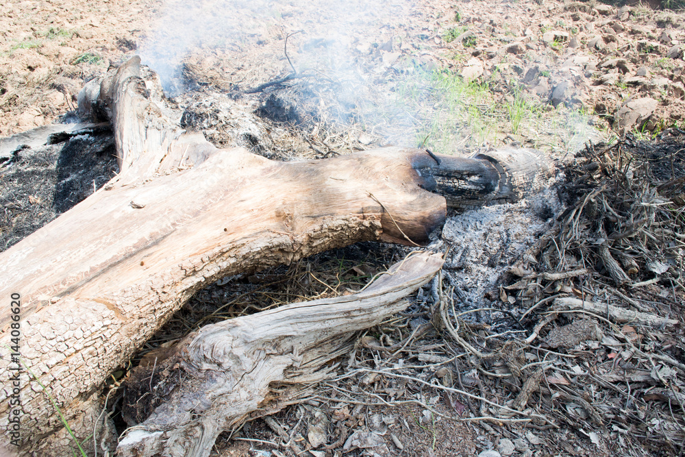 Obraz premium fire smoke