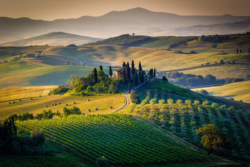 Keuken achterwand Toscane Toscane glooiend landschap in het voorjaar  © ronnybas