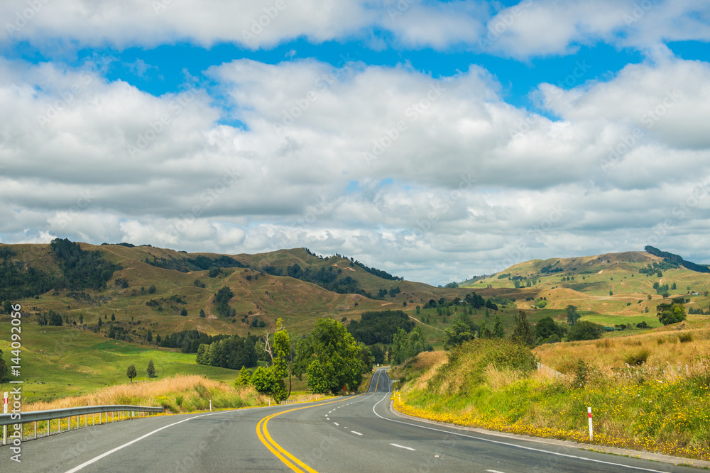 New Zealand Landscape Highway