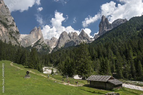 Tires/Tiers, Dolomites, South Tyrol, Italy. In the Ciamin Valley